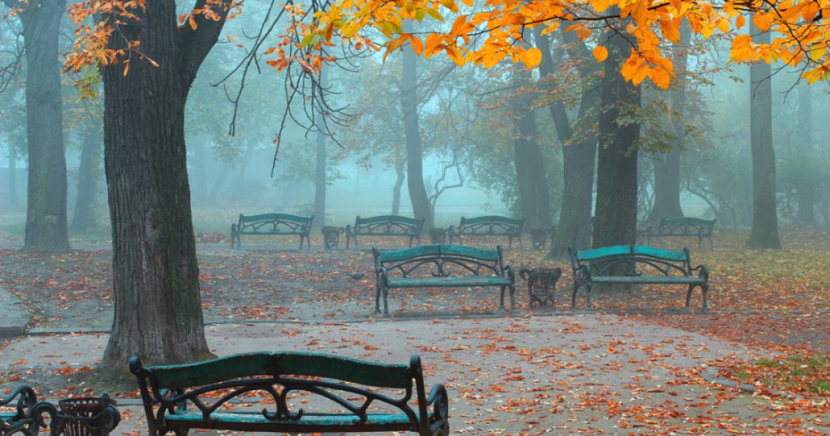 Weather in Львів on October 27: down to zero at night, up to +12°C during the day