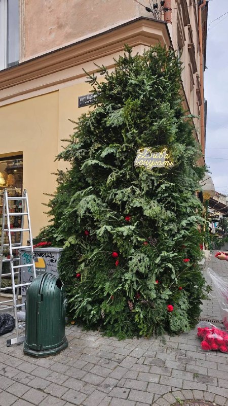 The first Christmas decorations have appeared in Lviv